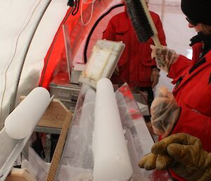 Glaciologist Dr Tessa Vance brushes snow off an ice core.