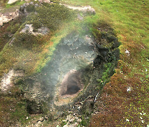 Mosses and other life forms thrive around this volcanic fumarole on the Antarctic South Sandwich Islands.