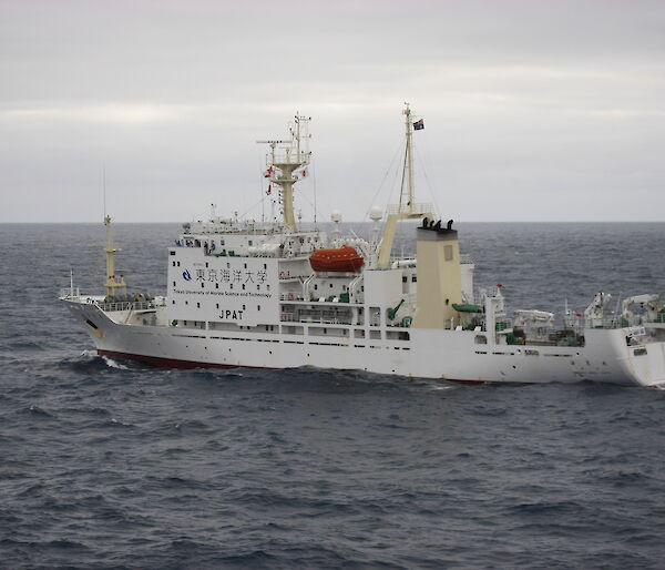 The Umitaka Maru in the Southern Ocean