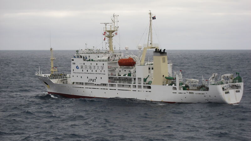 The Umitaka Maru in the Southern Ocean