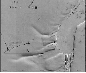 WorldView2 image of the Shackleton Ice Shelf colony in 2012. Four main sub-colonies are visible on top of the ice shelf about 5km from the ice cliff. Groups of penguins and their tracks can be seen moving to and from the ice edge.