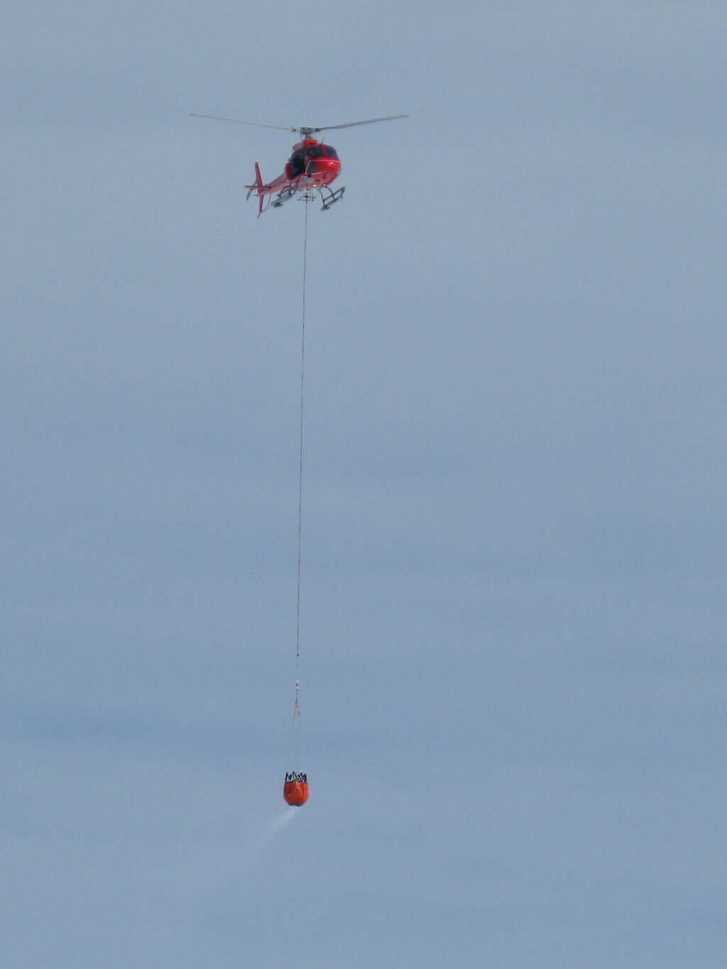 Antarctic marine microbes airdropped into science experiment
