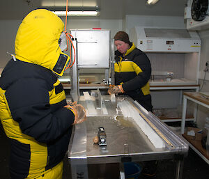A scientist cuts a rectangular stick from the centre of the ice core with a bandsaw.