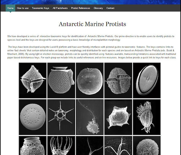 A screen shot of the home page of the Antarctic Marine Protists taxonomic key website. Users can click on the images to launch keys to the relevant taxonomic group. Many of the images were taken in the Australian Antarctic Division’s electron microscopy laboratory. Others are credited and referenced accordingly.