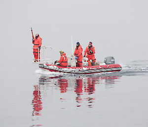 Whale tagging team of four in small boat
