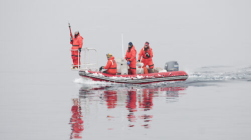 Whale tagging team of four in small boat