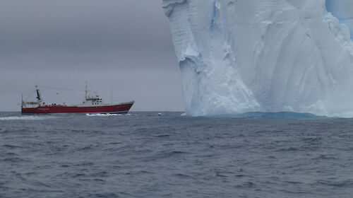 The Amaltal Explorer is dwarfed by a tabular iceberg during the Antarctic blue whale voyage