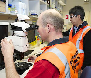 A scientist sits at a microscope while another looks at the image on a computer screen