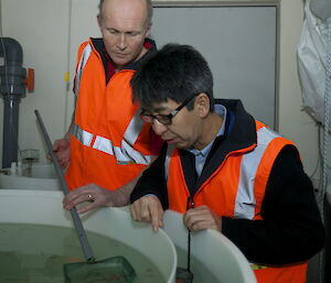 Two scientists peer into a tank containing krill in a lab