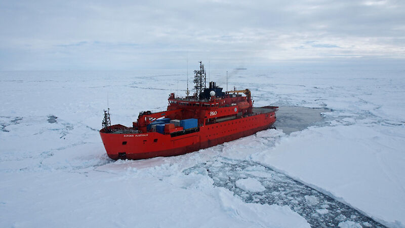 The Aurora Australis parked beside an ice floe