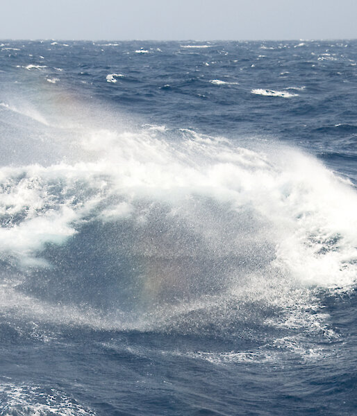 The Southern Ocean