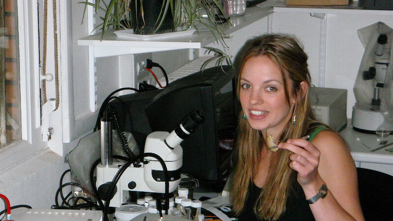 Dr Helena Baird studying amphipods under the microscope.