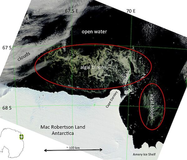 Annotated map showing algal bloom of the coast of Mac Robertson Land, Antarctica
