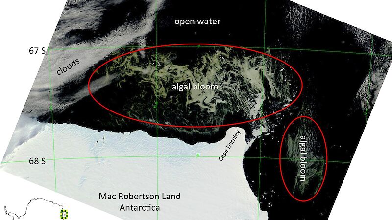 Annotated map showing algal bloom of the coast of Mac Robertson Land, Antarctica