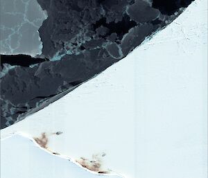 Satellite image of Emperor penguin colony at Halley Bay