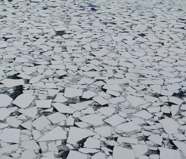 Antarctic sea ice