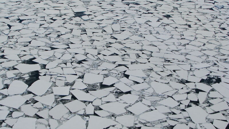 Antarctic sea ice