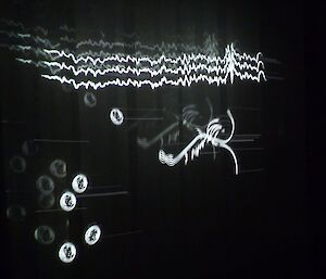 Artist Lisa Robert’s art installation inspired by her Antarctic Arts Fellowship. Pictured is a graph of sea levels rising over 80 years in Brisbane (Church et al. 2007) with krill embryos and adults.