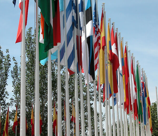 Flags of the Antarctic Treaty Consultative Meeting XXVI in Madrid, Spain