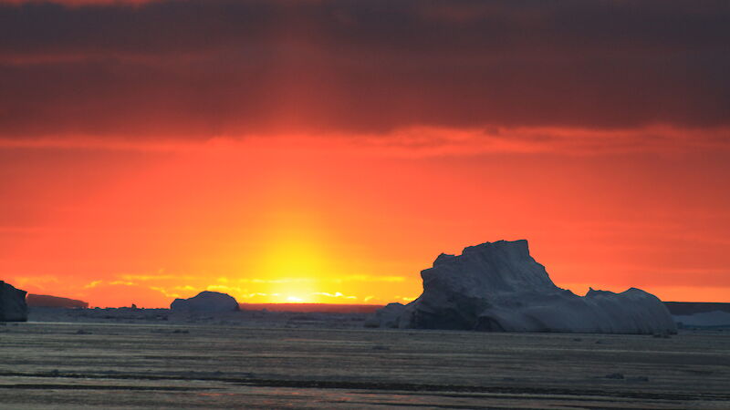 Southern Ocean