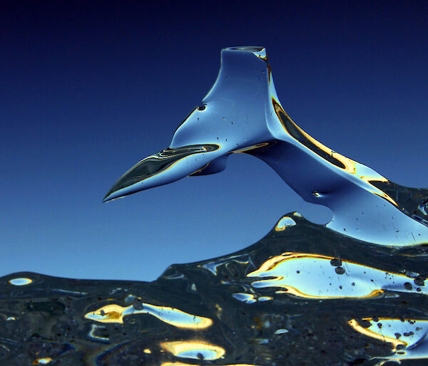 Fresh water ice in the shape of a whale fluke in the Vestfold Hills, near Davis station