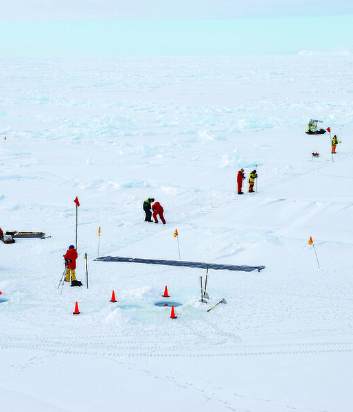 A small team of scientists put flags out on the sea ice to establish a 200m transect for scientific studies