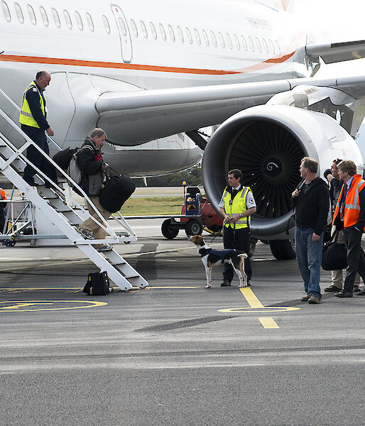 The Australian medical team step off the A319 at Hobart airport