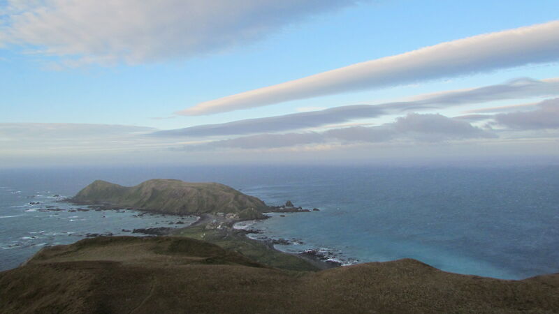 Macquarie Island