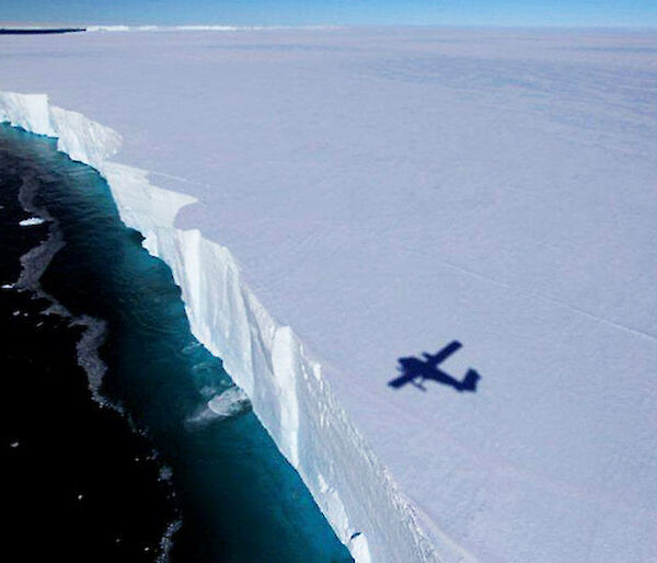 Twin Otter flying across ice cliffs near Casey station