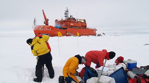 Field team at work on the first SIPEX voyage October 2007