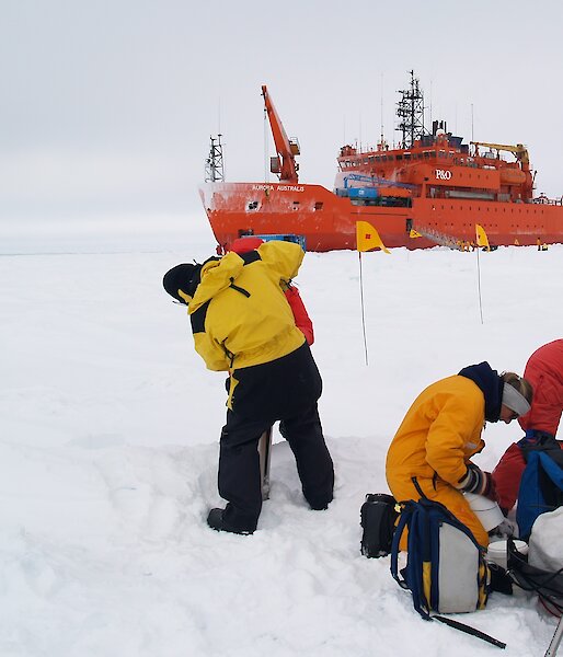Field team at work on the first SIPEX voyage October 2007