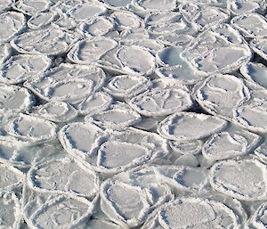 Pancake ice in the Southern Ocean