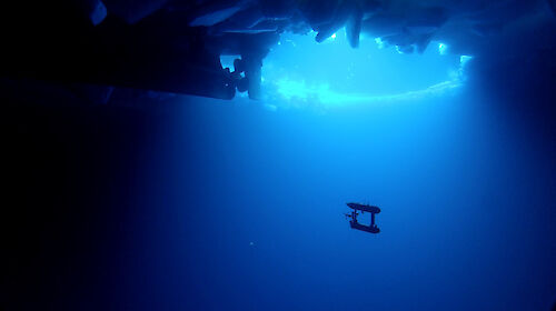 The AUV under the ice with the Aurora Australis propeller (Photo: AUV team/Australian Antarctic Division)