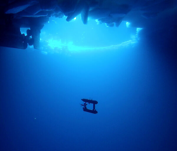 The AUV under the ice with the Aurora Australis propeller (Photo: AUV team/Australian Antarctic Division)