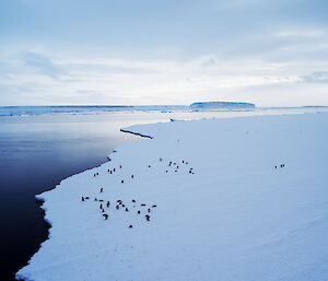 View of East Antarctic fast ice from Aurora Australis showing Adelié Penguins