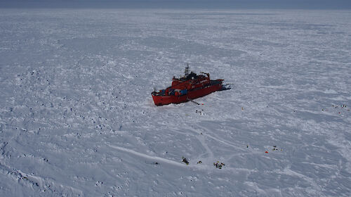 The scientists carrying out their research on the sea ice next to Australia’s icebreaker Aurora Australis.