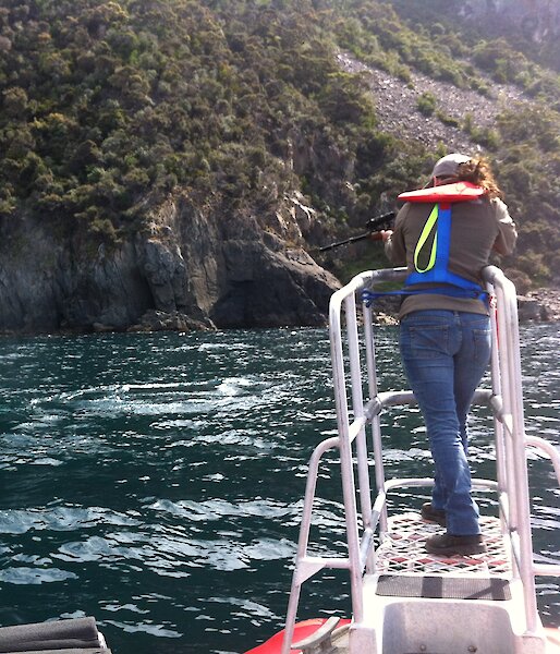 Virginia Andrews Goff practising deploying the satellite tags