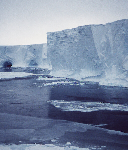 Mertz Glacier tongue
