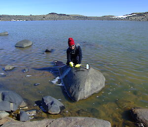 Professor Rick Cavicchioli takes samples from Organic Lake in 2006.