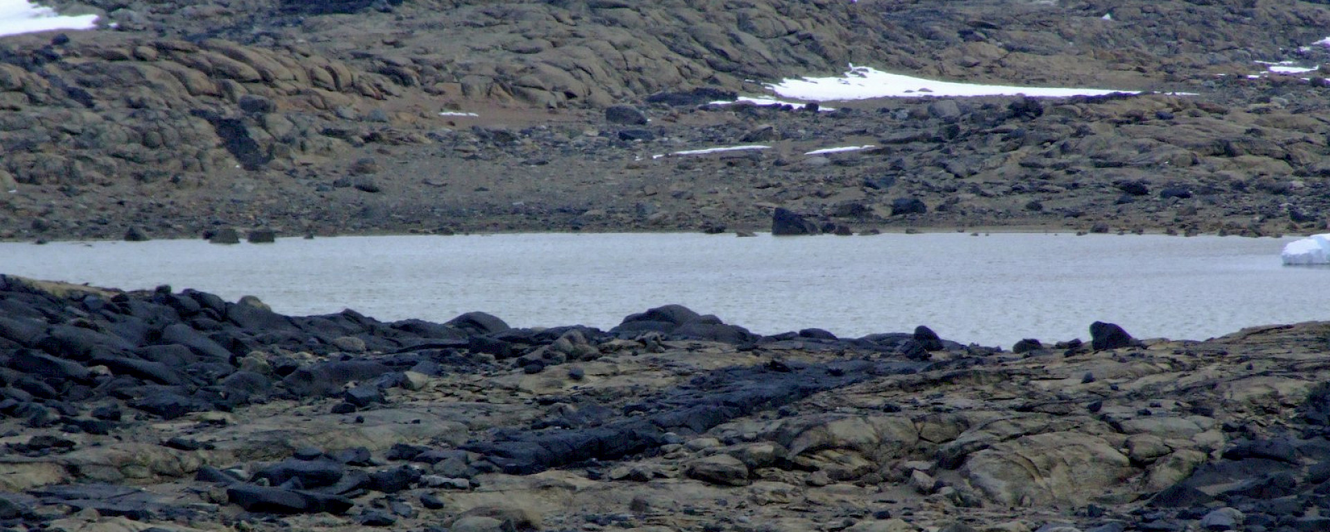 Organic Lake in the Vestfold Hills, East Antarctica.