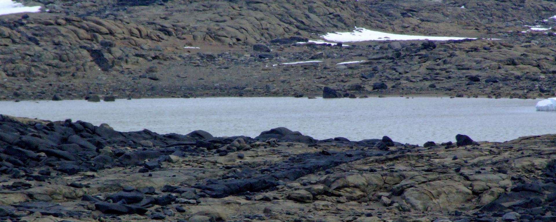 Organic Lake in the Vestfold Hills, East Antarctica.