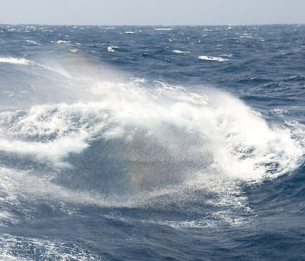 The Southern Ocean