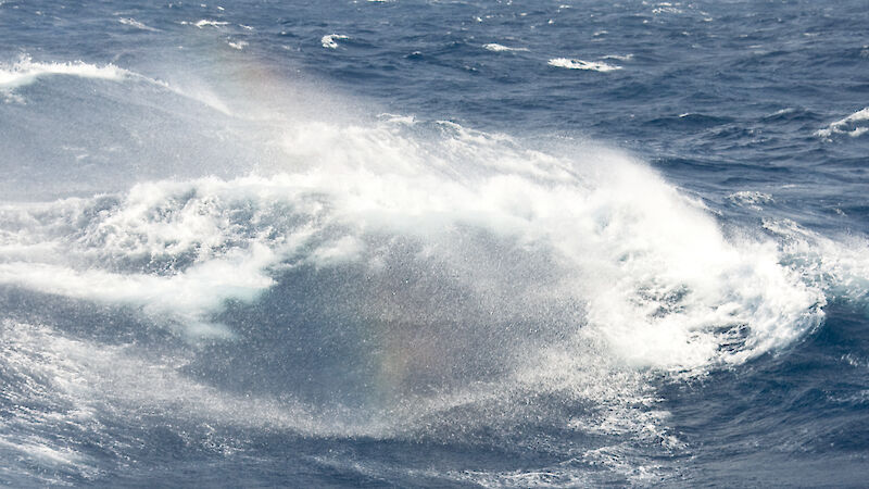 The Southern Ocean