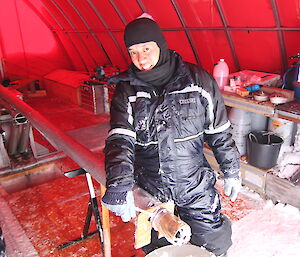 Dr Andrew Moy preparing the drill to collect another ice core (Photo: Joe McConnell)