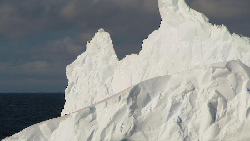 Iceberg near Mawson station (Photo: Nisha Harris)