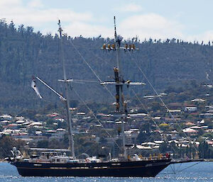 The Young Endeavour in the flotilla