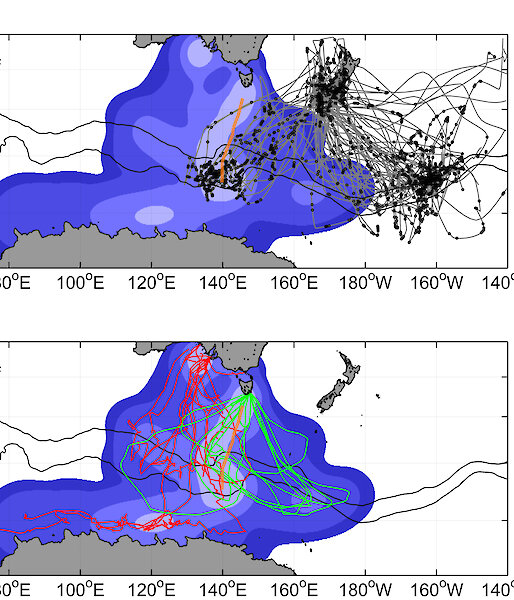 A: Sooty shearwater tracks (grey lines) and dive locations (black dots), with the short-tailed shearwater habitat utilisation from panel B included for reference. Note the overlapping use of the Polar Front zone around 140°E. The northern and southern branches of the Polar Front (black) and the trawl transect (dotted orange) are shown. B. Short-tailed shearwater tracks from two South Australian islands (red lines) and from Wedge Island, Tasmania (green lines), and their corresponding combined habitat utilisation (background colours)