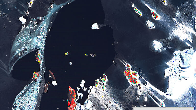 A QuickBird satellite image of islands in the study area with bright areas of guano highlighted in red, green and yellow.