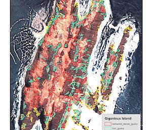 Areas of guano extracted by Object Based Image Analysis correlate well with the manually digitised map of guano on Giganteus Island.