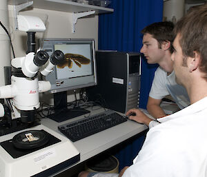 Jeremy and Joe view the otolith sections through a dissecting microscope and capture magnified images on the computer.